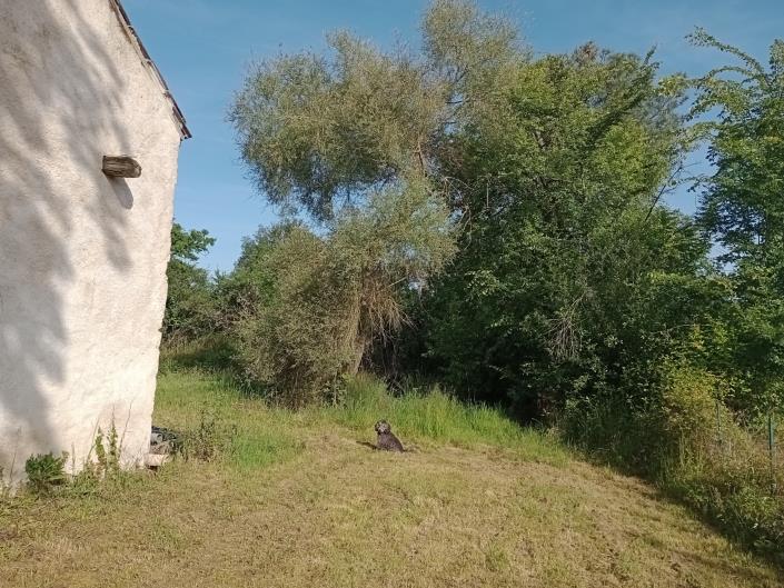 Image No.3-4 Bed Country House for sale