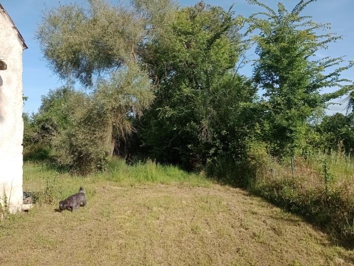 Image No.4-4 Bed Country House for sale