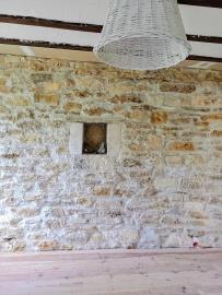 IMG_20250527_095521284_MFNR-4