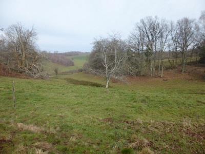 Image No.13-5 Bed Farmhouse for sale