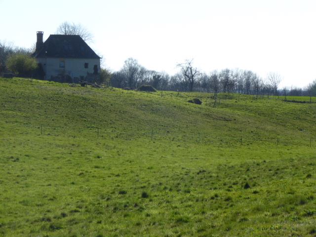 Image No.28-Ferme de 5 chambres à vendre à Voutezac