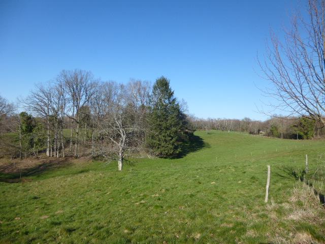 Image No.31-Ferme de 5 chambres à vendre à Voutezac