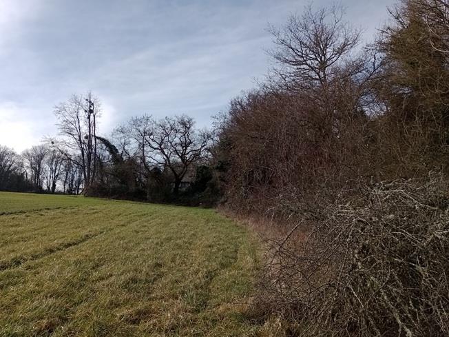 Image No.8-2 Bed House for sale