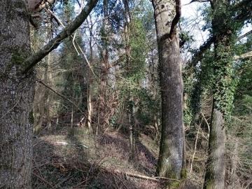 IMG_20260124_133501623_MFNR