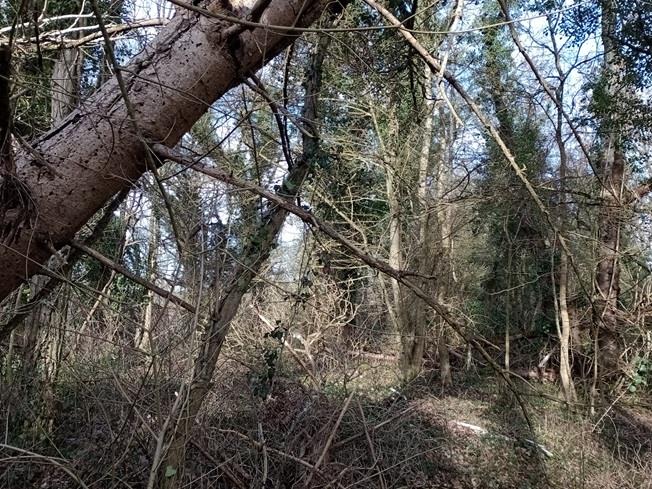 Image No.12-2 Bed House for sale