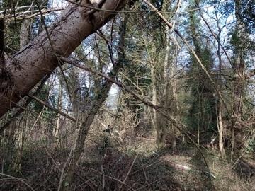 IMG_20260124_133510881_MFNR