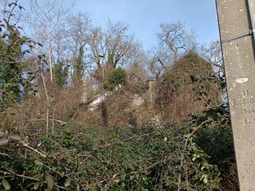 IMG_20260124_135517621