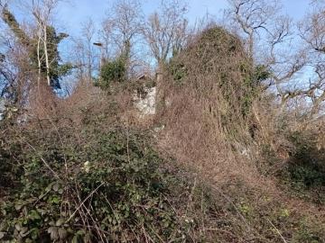 IMG_20260124_135533650_MFNR