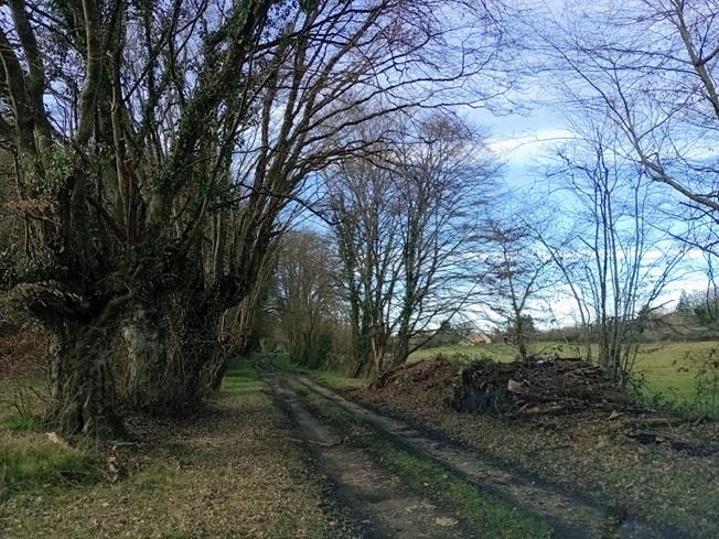 Image No.17-2 Bed House for sale