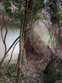 IMG_20260322_154821770_MFNR