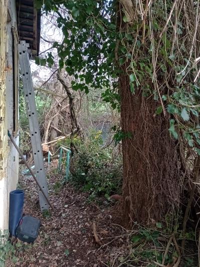 Image No.9-Maison de campagne de 2 chambres à vendre à Torteron