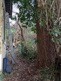 IMG_20260322_154832171_MFNR