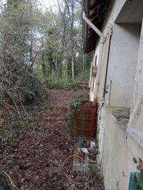 IMG_20260322_155027015_MFNR