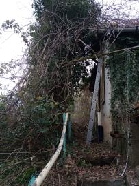 IMG_20260322_155107763_MFNR