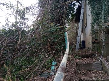 IMG_20260322_155121047_MFNR