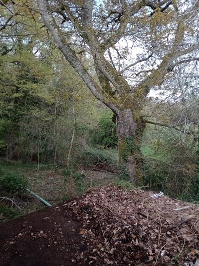 Image No.16-Maison de campagne de 2 chambres à vendre à Torteron