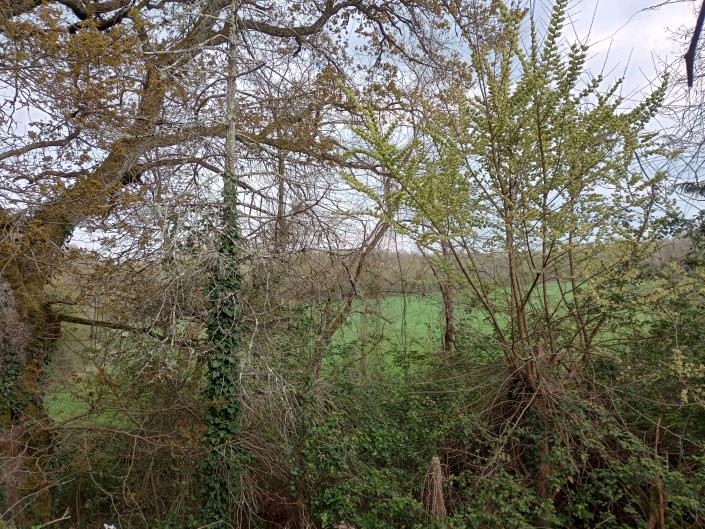 Image No.17-Maison de campagne de 2 chambres à vendre à Torteron