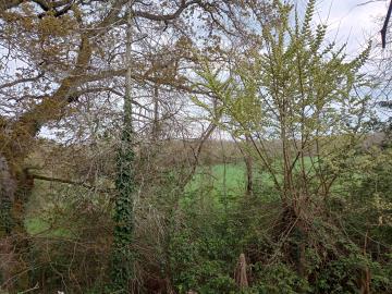 IMG_20260322_162132337_HDR