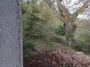 IMG_20260322_162137741_MFNR