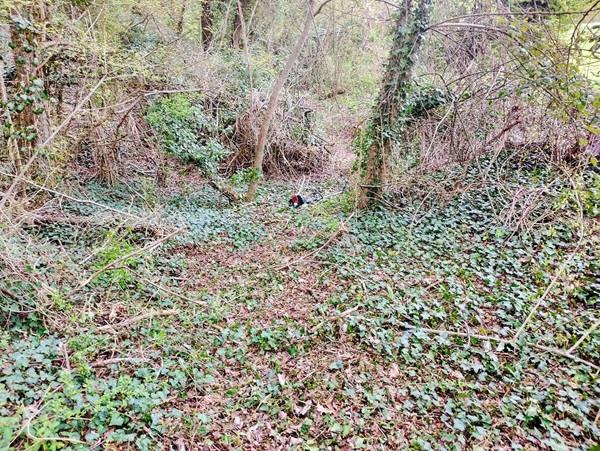Image No.38-Maison de campagne de 2 chambres à vendre à Torteron