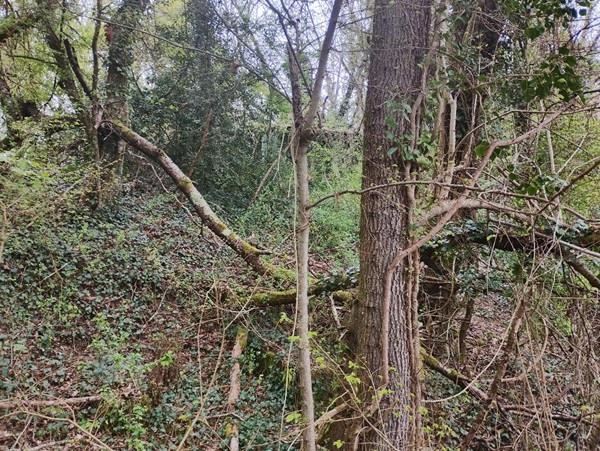 Image No.39-Maison de campagne de 2 chambres à vendre à Torteron