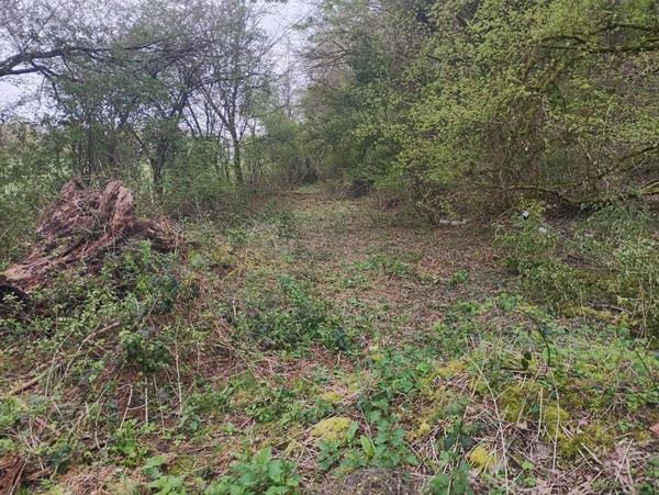 Image No.4-Maison de campagne de 2 chambres à vendre à Torteron