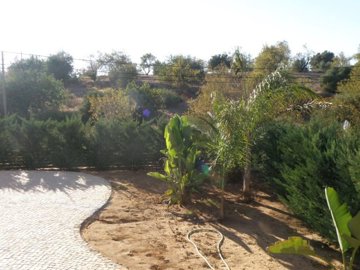 id8fa11e00-0000-0500-0000-0000037c075e