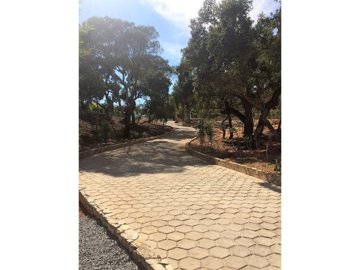 ide6487100-0000-0500-0000-000003ba5856