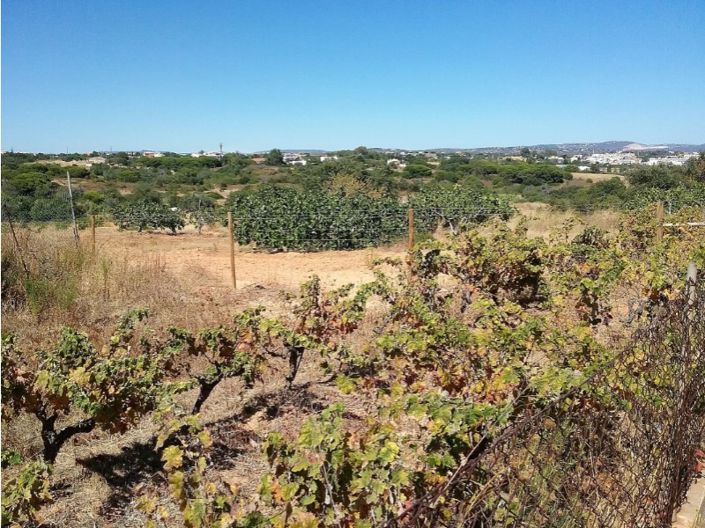 Image No.3-2 Bed House for sale