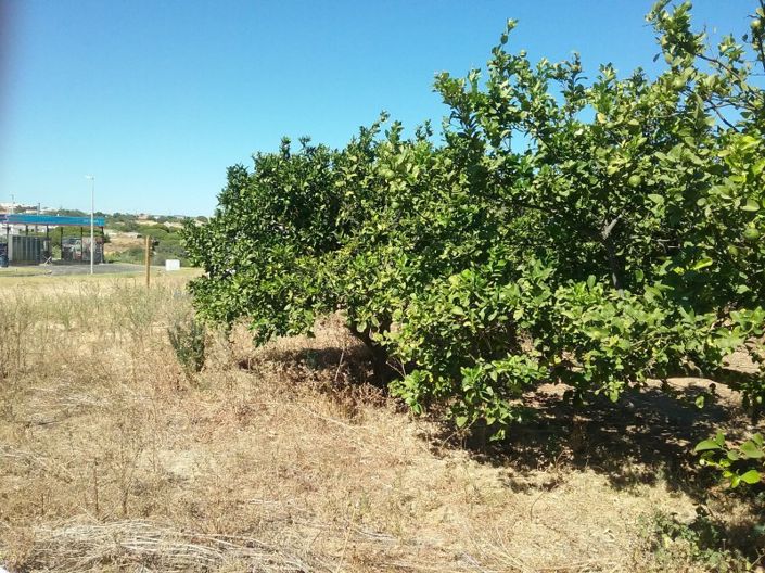 Image No.4-2 Bed House for sale