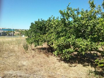 id7b517900-0000-0500-0000-000003f98c51