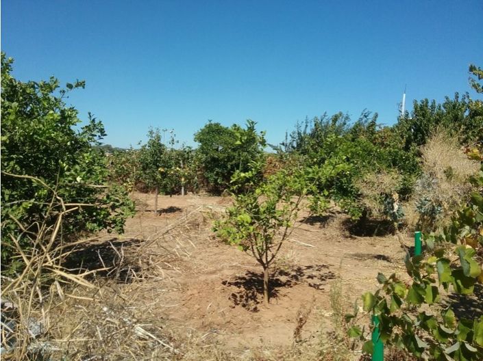 Image No.6-2 Bed House for sale