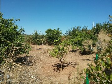 id7b517900-0000-0500-0000-000003f98c53