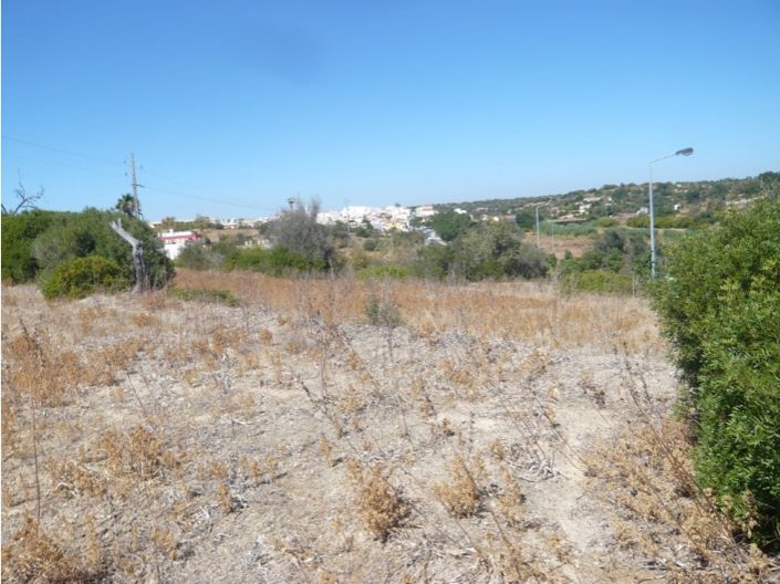 Image No.2-Farmhouse for sale