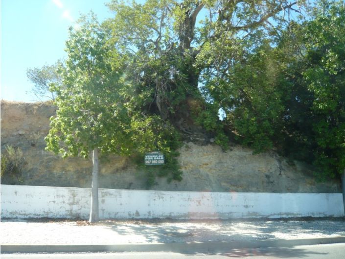 Image No.5-Farmhouse for sale