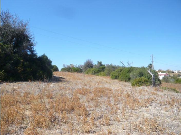 Image No.6-Farmhouse for sale