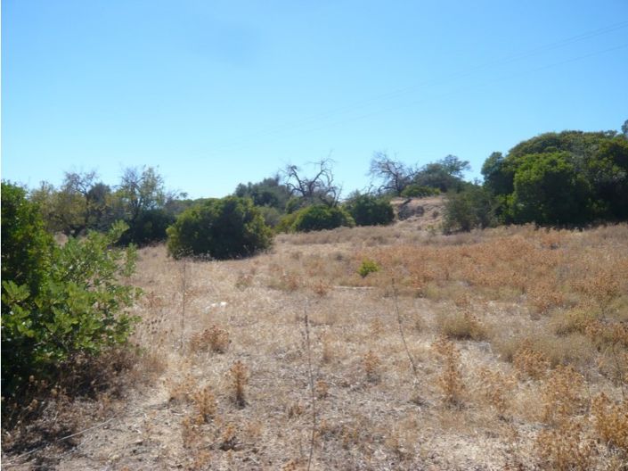 Image No.7-Farmhouse for sale