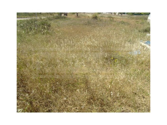 Image No.4-Plot for sale