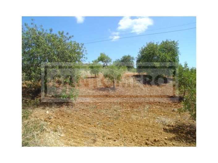 Image No.1-Plot for sale