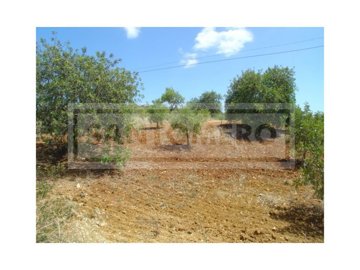 Plot for sale