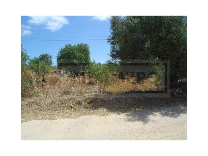 Image No.2-Plot for sale