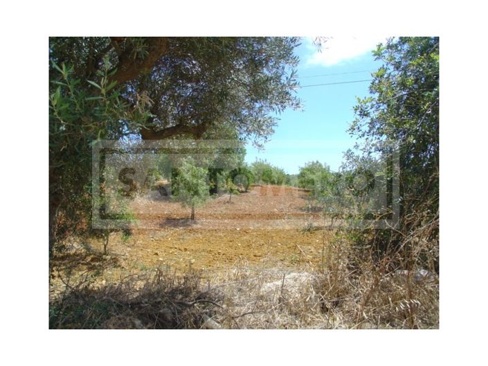 Image No.3-Plot for sale