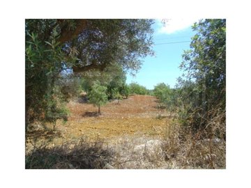 id3da11e00-0000-0500-0000-0000012303a1