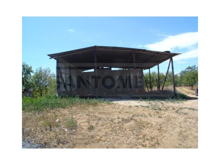 Image No.4-House for sale