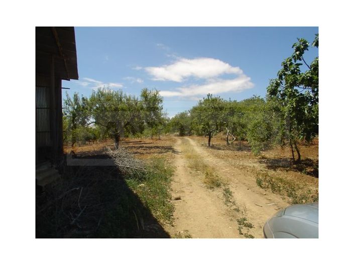 Image No.6-House for sale