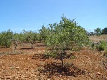 id3ea11e00-0000-0500-0000-000002ca9c10