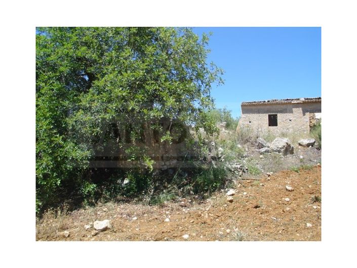 Image No.1-Plot for sale