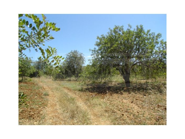 Image No.4-Plot for sale