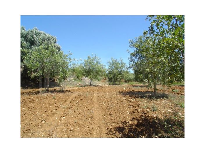 Image No.5-Plot for sale