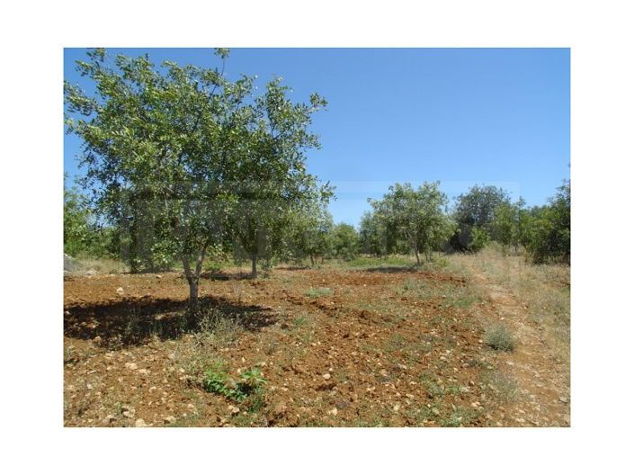 Image No.6-Plot for sale